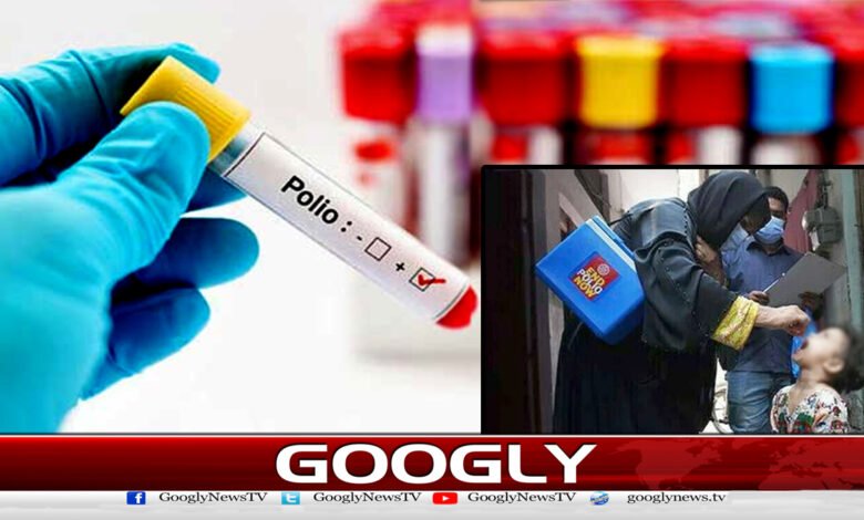ملک میں پولیو کے نئے کیسز سامنے آنے کے بعد مجموعی تعداد 48 ہوگئی 1 After new cases of polio were reported in the country, the total number rose to 48