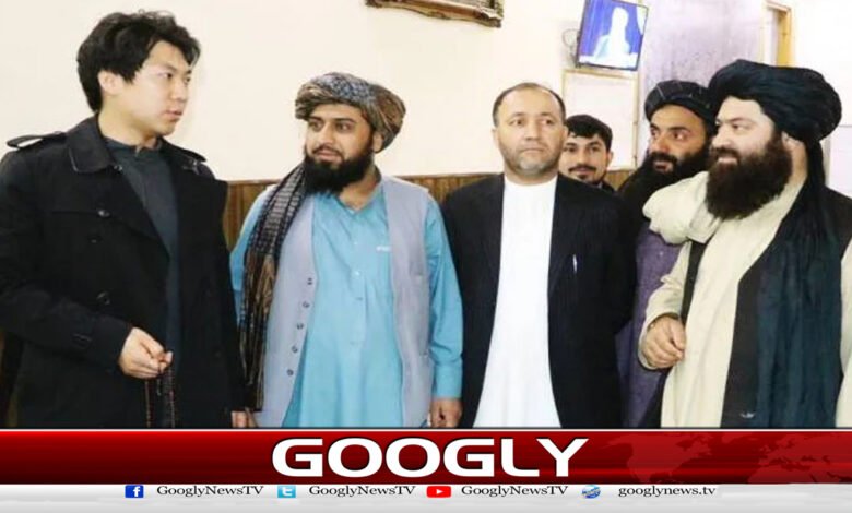 Why did a Chinese businessman in Afghanistan convert to Islam?