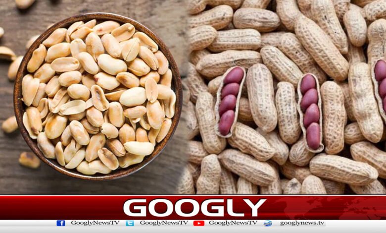 مونگ پھلی صحت کیلئے مفید قرار