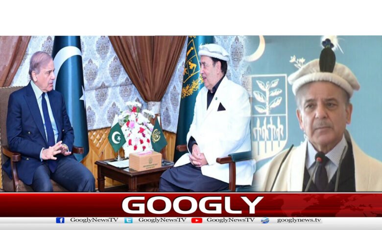 گلگت بلتستان میں100 میگا واٹ شمسی توانائی کےپلانٹ کا افتتاح