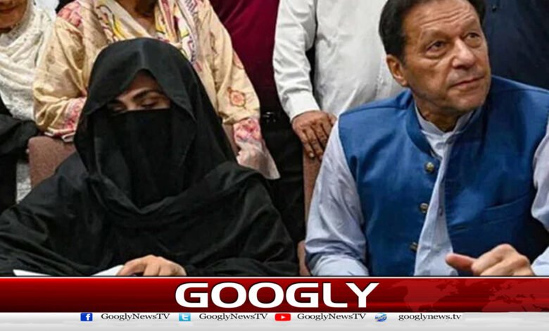 Is Bushra Bibi going to enter politics? Imran Khan's big statement