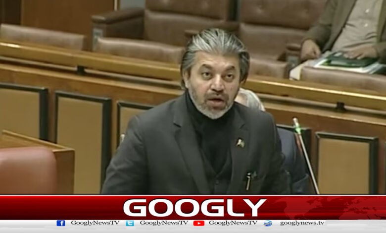 No one including Bushra Bibi has the authority to give their decision on Imran Khan's decision, Ali Muhammad Khan's audio was leaked