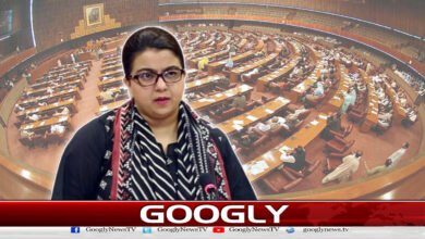 No interest in shutting down the internet, but nothing is more important than national security: Shaza Fatima