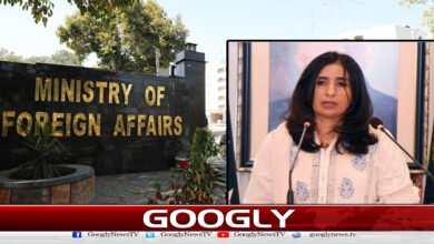 Pakistan's strategic capabilities are for peace and stability: Foreign Office