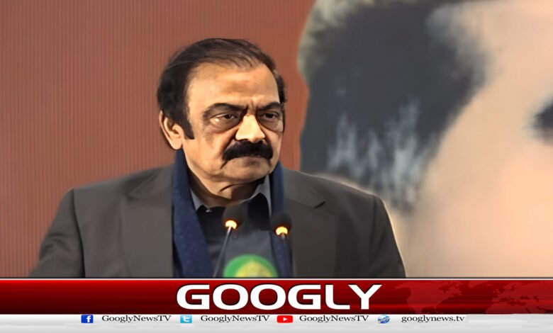 پورے خلوص نیت سے مذاکرات کو کامیاب کرنا چاہتے ہیں رانا ثنا اللہ