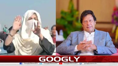 D Chowk protest: What Bushra Bibi did was according to my instructions, Imran Khan