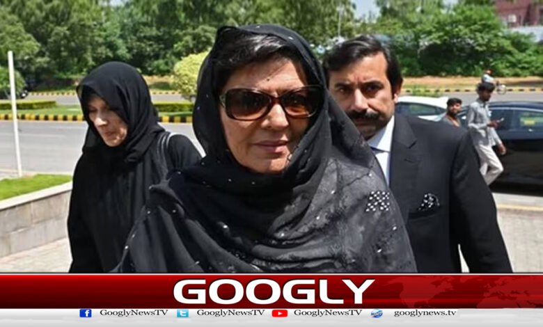 Govt offered Barrister Gohar to release Imran Khan in exchange for sitting in Sangjani: Aleema Khan