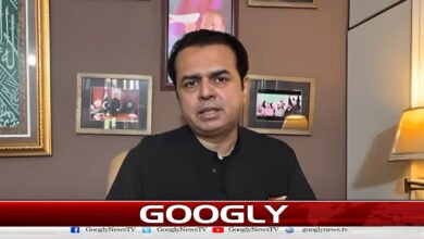 Negotiations will not take place for £190 million amnesty: Senator Talal Chaudhry