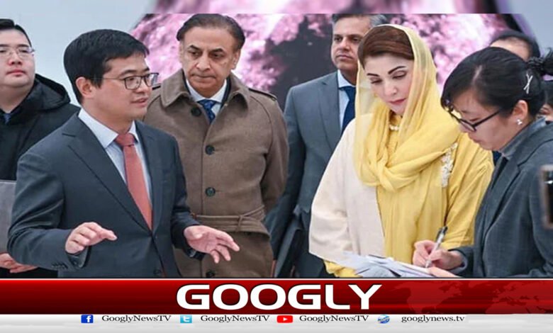 Now it will be possible to treat cancer without surgery and chemotherapy: Maryam Nawaz
