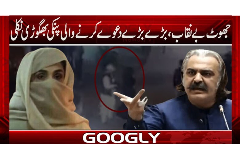 جھوٹ بے نقاب،بڑے بڑے دعوے کرنے والی پنکی بھگوڑی نکلی