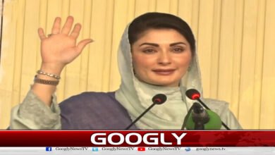 Mothers do not encourage their children to burn themselves to death, Maryam Nawaz addresses scholarship program ceremony