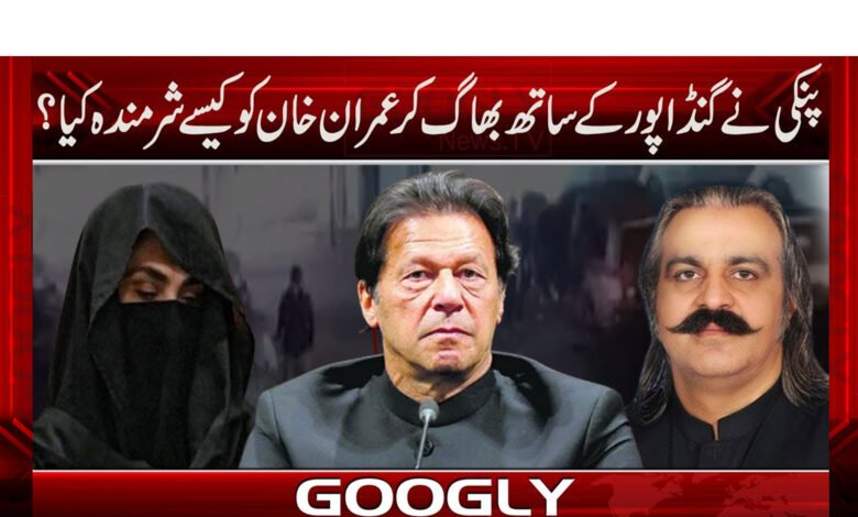 پنکی نے گنڈاپور کے ساتھ بھاگ کر عمران خان کو کیسے شرمندہ کیا؟ 1 پنکی نے گنڈاپور کے ساتھ بھاگ کر عمران خان کو کیسے شرمندہ کیا؟