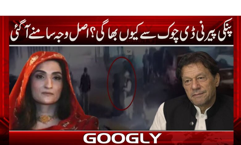 پنکی پیرنی ڈی چوک سے کیوں بھاگی؟اصل وجہ سامنے آ گئی 1 پنکی پیرنی ڈی چوک سے کیوں بھاگی؟اصل وجہ سامنے آ گئی