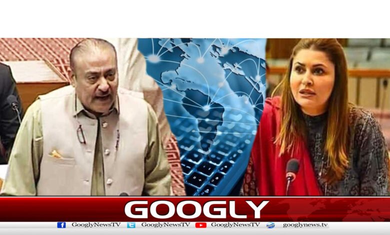 انٹرنیٹ اسپیڈ میں کمی پر پیپلز پارٹی وفاقی حکومت پر برس پڑی