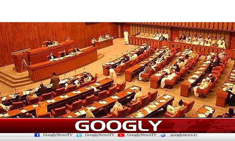 سینیٹ :شام اور فلسطین میں اسرائیلی مظالم کیخلاف قرارداد منظور