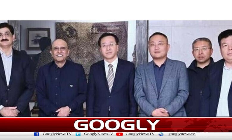 صدرزرداری سے چینی وفد کی ملاقات،میڈیکل سٹی میں سرمایہ کاری کی پیشکش 1 صدرزرداری سے چینی وفد کی ملاقات،میڈیکل سٹی میں سرمایہ کاری کی پیشکش