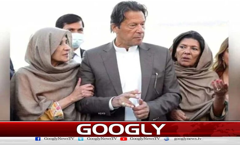 Aleema Khan and other sisters never made any political announcement: Family sources Imran Khan