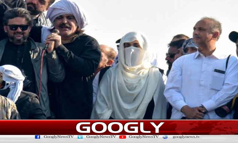 Bushra Bibi granted interim bail in 32 cases