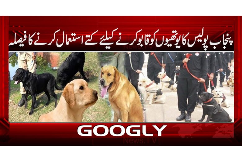 Punjab Police's decision to use dogs to control youths