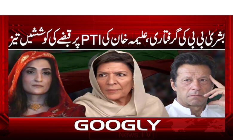 Bushra Bibi's arrest, Aleema Khan's efforts to take over PTI intensify