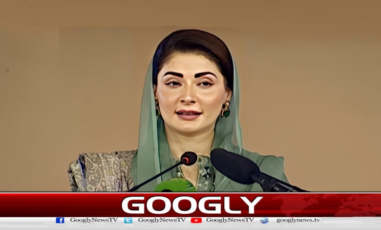 ہم لشکر کشی کے بجائے خدمت کی سیاست کرتے ہیں : مریم نواز 1 We do politics of service instead of war: Maryam Nawaz