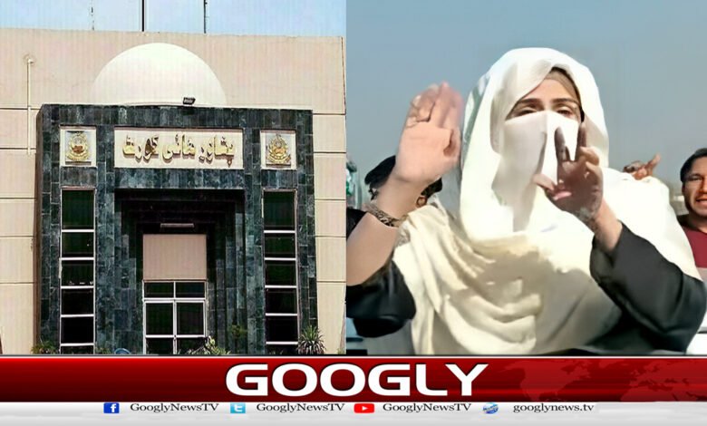 پشاور ہائی کورٹ : بشریٰ بی بی کی ایک ماہ کےلیے حفاظتی ضمانت منظور 1 Peshawar High Court: Bushra Bibi has been granted protective bail for one month