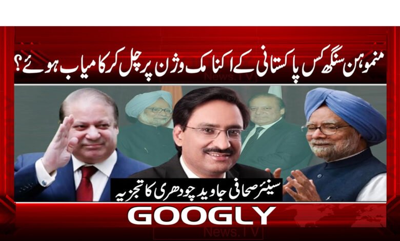 Manmohan Singh became successful following the economic vision of which Pakistani?