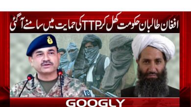 افغان طالبان حکومت کھل کر TTP کی حمایت میں سامنے آ گئی