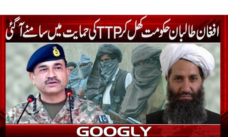 افغان طالبان حکومت کھل کر TTP کی حمایت میں سامنے آ گئی 1 افغان طالبان حکومت کھل کر TTP کی حمایت میں سامنے آ گئی