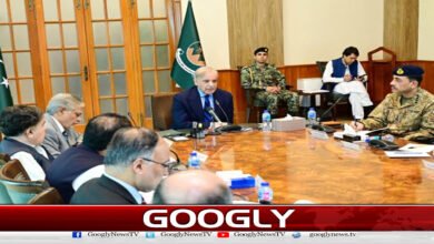 Prime Minister approves establishment of Pakistan Maritime and Seaport Authority