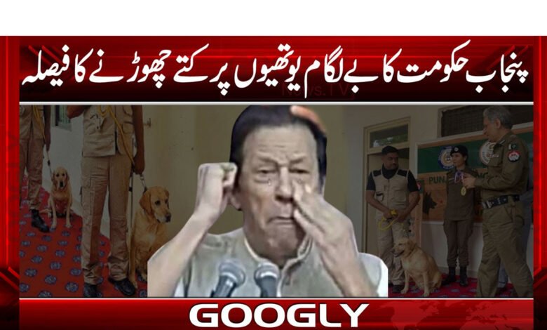 پنجاب حکومت کا بے لگام یوتھیوں پر کتے چھوڑنے کافیصلہ