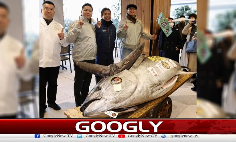جاپان میں 7 من وزنی ٹونا مچھلی 36 کروڑمیں فروخت