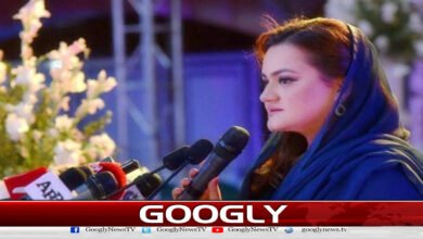 Shehbaz Sharif rejected the offer of the Prime Ministership 3 times, did not betray his brother: Marriyum Aurangzeb