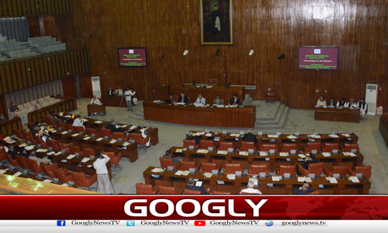 Senate: Pecaterimi Act Per PTI, Journalists' Walkout