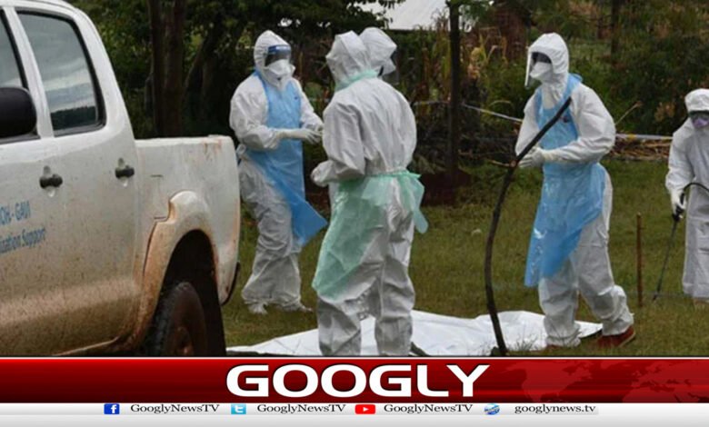 تنزانیہ میں مشتبہ ماربرگ وائرس سے8 افراد ہلاک 1 تنزانیہ میں مشتبہ ماربرگ وائرس سے8 افراد ہلاک