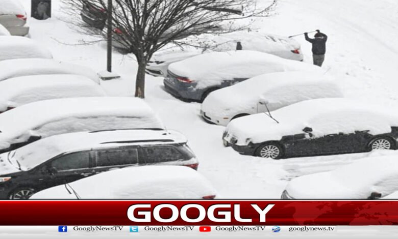 Life in the US and UK paralyzed by blizzard