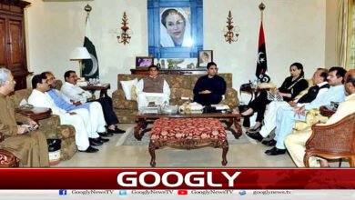 PPP decides to increase political pressure on PML-N in Punjab