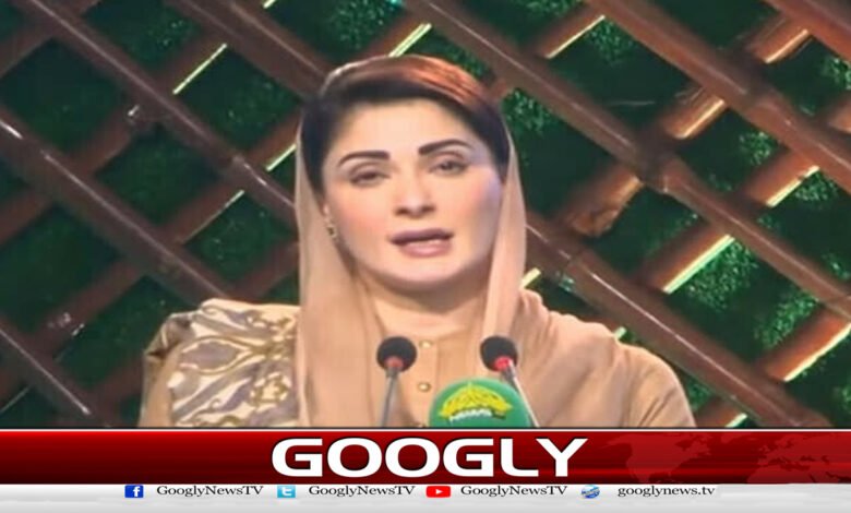 نوجوانوں نے لائیو اسٹاک اسکیم کا خیر مقدم کیا، وزیر اعلی پنجاب 1 Youth welcomes livestock scheme, says Punjab Chief Minister