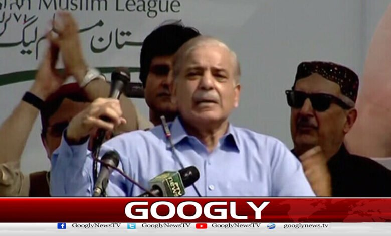Country cannot develop with loans: Shahbaz Sharif
