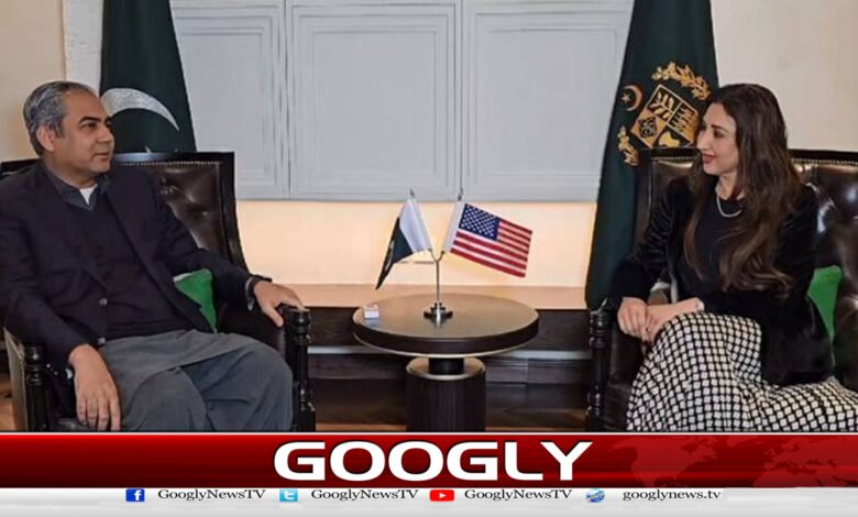 Acting American Ambassador met with Interior Minister Mohsin Naqvi