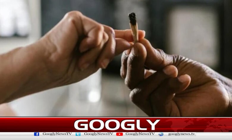 How many years does a person who smokes marijuana die? The facts have come out