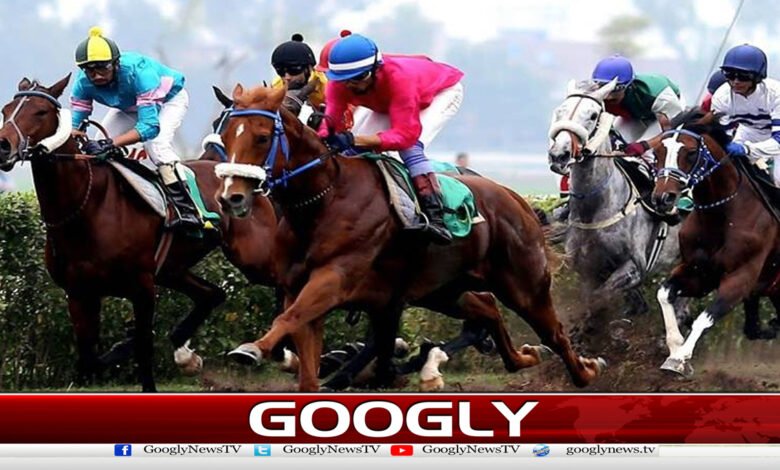 The big horse race Pakistan Derby was won by a horse named Sardar
