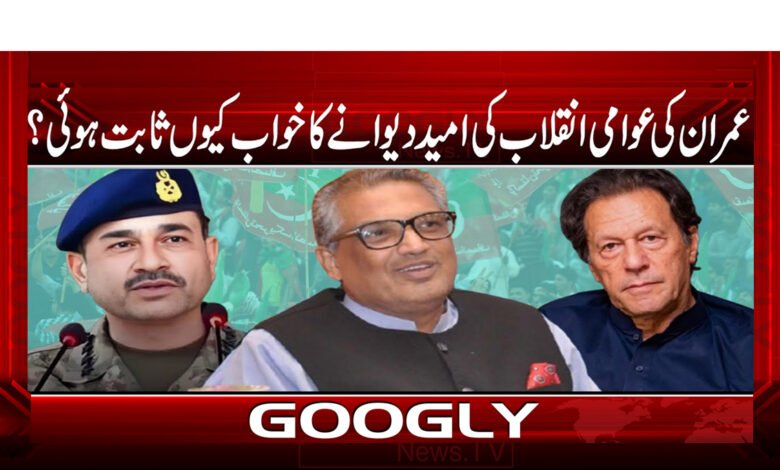 Why did Imran's hope for a public revolution turn out to be a madman's dream?