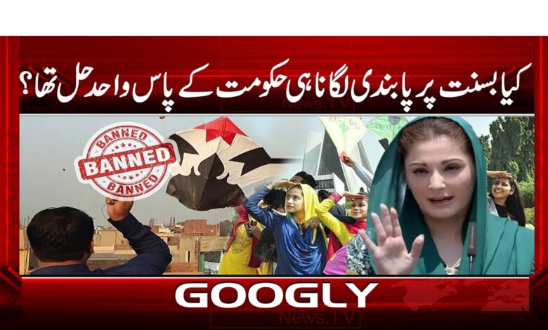 Was the government's only solution to ban Basant?