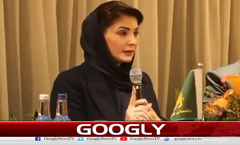 Maryam Nawaz's expression of extreme anger on the incidents of One Dish violation