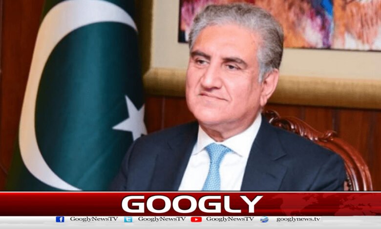 National consensus is needed for reforms, Shah Mehmood Qureshi