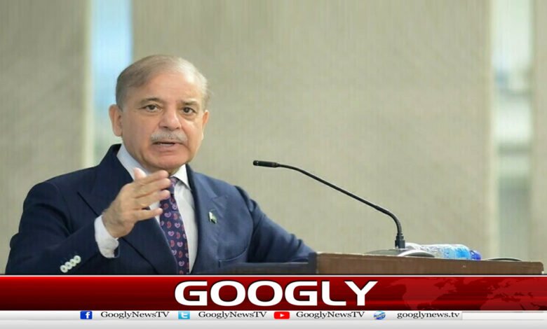Pakistan has full capacity to protect the borders, Prime Minister