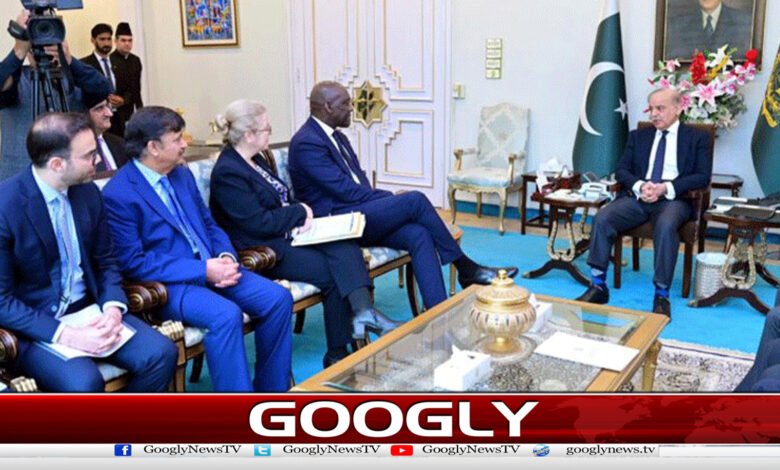 وزیراعظم سے آئی ایف سی وفد کی ملاقات،سرمایہ کاری بڑھانے پر اتفاق 1 IFC delegation met with the Prime Minister, agreed to increase investment