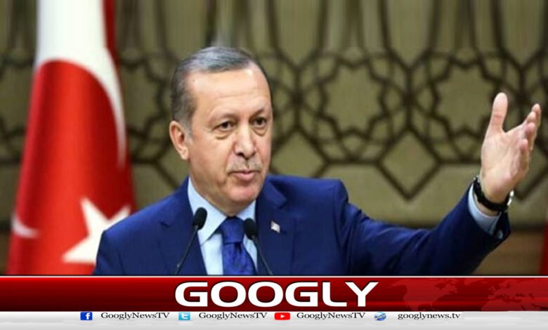 آزادی فلسطینی ریاست کیلئے پاکستان اور ترکی ایک پلیٹ فارم پر ہیں،طیب اردوان 1 tayab 1