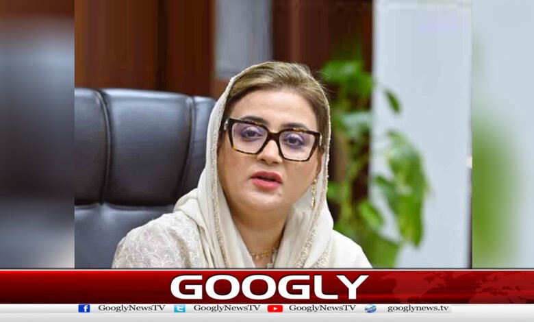 Maryam Nawaz made Punjab a developed province, Uzmi Bukhari